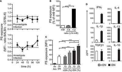 CD4+ T Cell-Dependent Macrophage Activation Modulates Sustained PS Exposure on Intracellular Amastigotes of Leishmania amazonensis